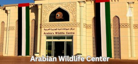 Arabian Wildlife Center: Location, Timings, Fee