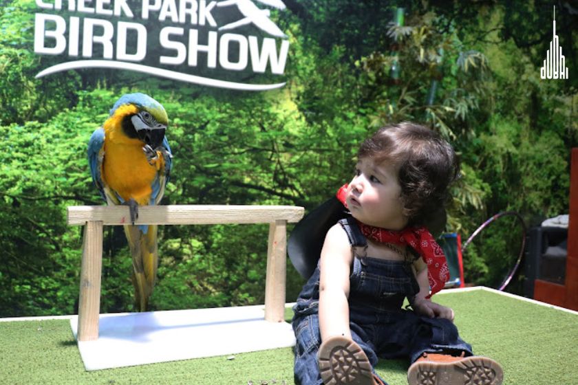 Dubai Bird Show Tickets