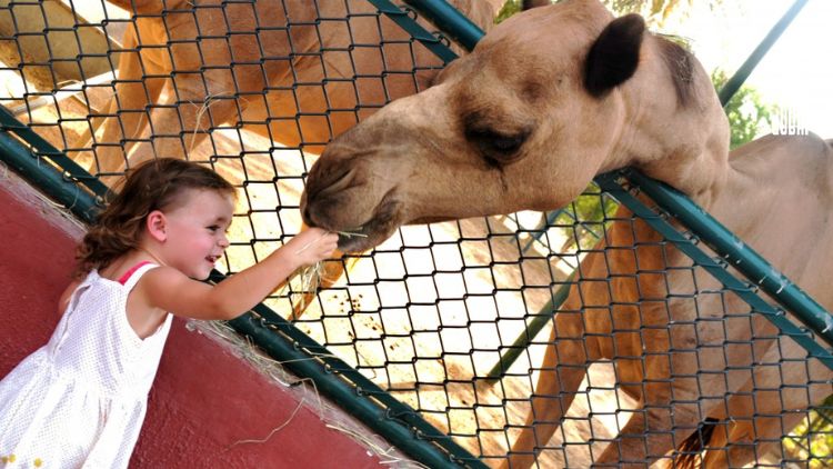 Kids Farm Arabian Wildlife Center