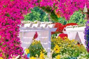 Miracle Garden Tickets