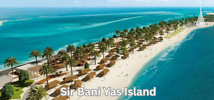 Sir Bani Yas Island in Abu Dhabi – Entry Fee, Timing & Location Info