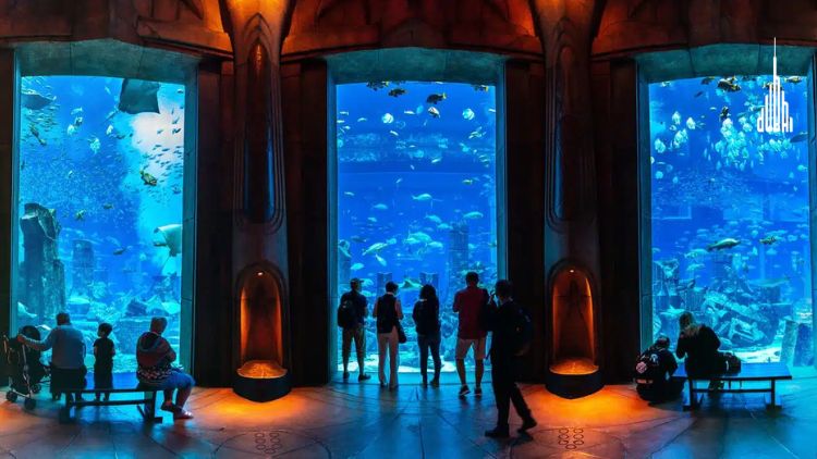 The Lost Chambers Aquarium Palm Jumeirah