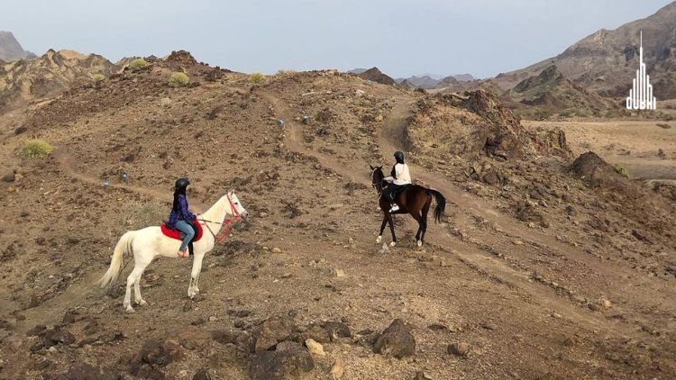 Horse Riding Hatta Dam