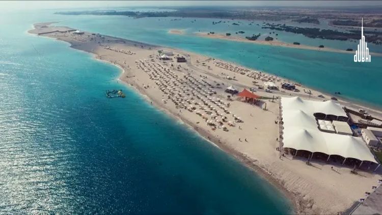 Sir Bani Yas Island Cruise Beach