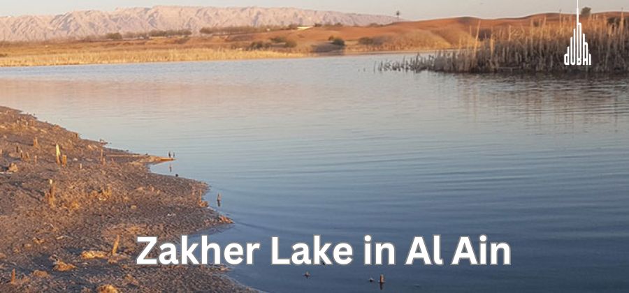 Zakher Lake in Al Ain: Location, Things to do, Timings