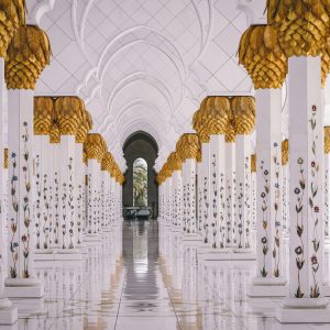 Sheikh Zayed Mosque