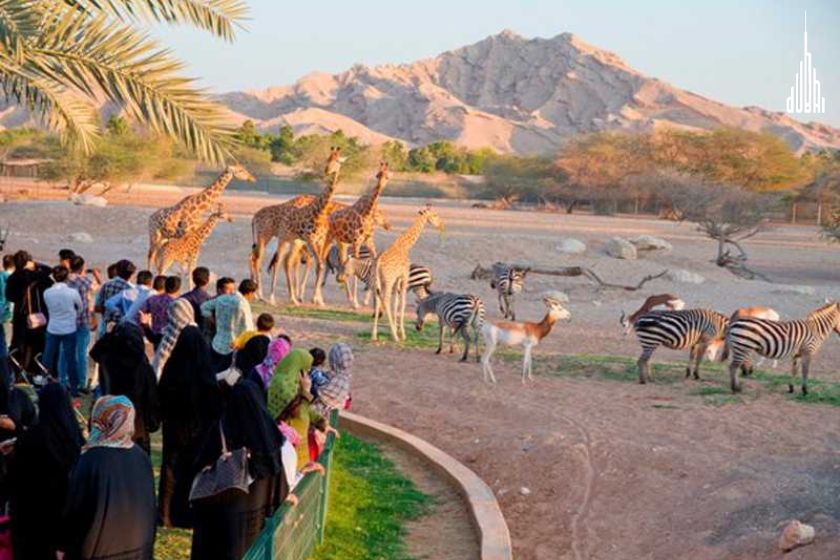 Al Ain Zoo