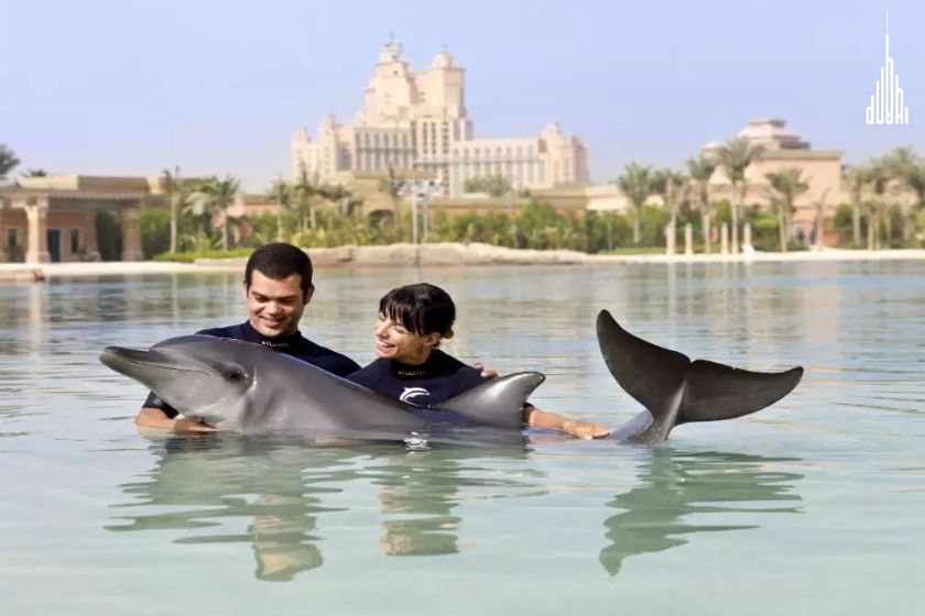 Dolphin Encounter Dubai