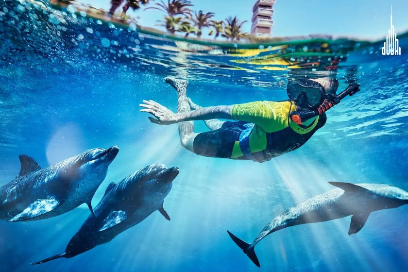 Dolphin Encounter Dubai