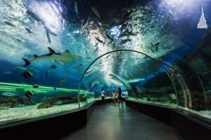 Dubai Aquarium & Underwater Zoo