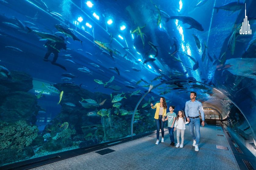 Dubai Aquarium & Underwater Zoo Tickets